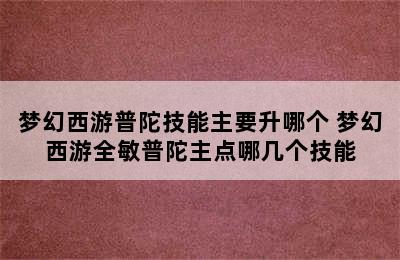 梦幻西游普陀技能主要升哪个 梦幻西游全敏普陀主点哪几个技能